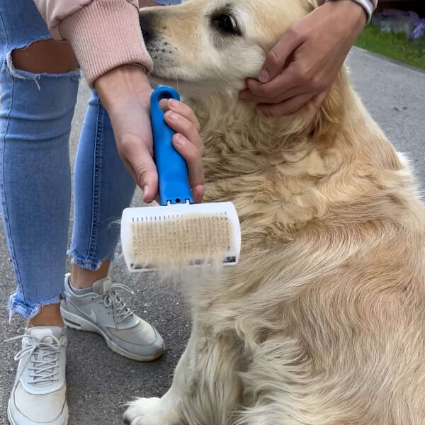 Softy Max - Kisállat kefe Kincsesbazár